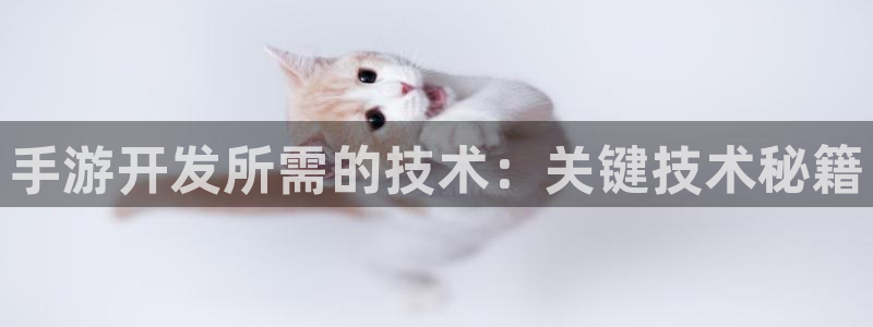 巅峰国际登录：手游开发所需的技术：关键技术秘籍