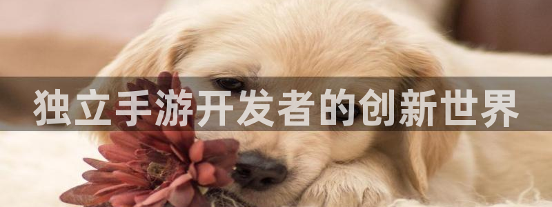 巅峰国际：独立手游开发者的创新世界