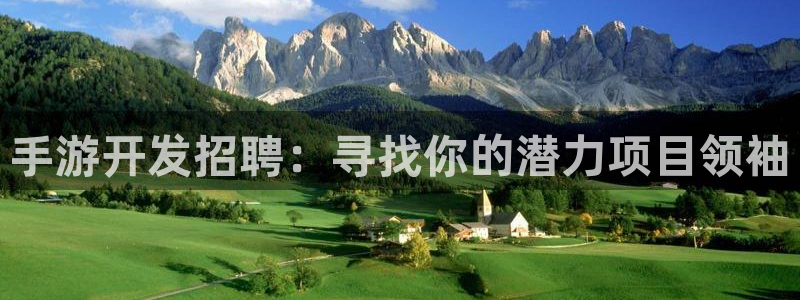 巅峰国际注册：手游开发招聘：寻找你的潜力项目领袖