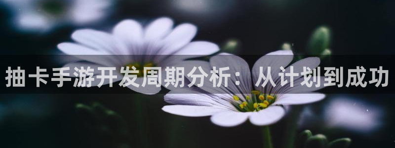 巅峰国际登陆：抽卡手游开发周期分析：从计划到成功
