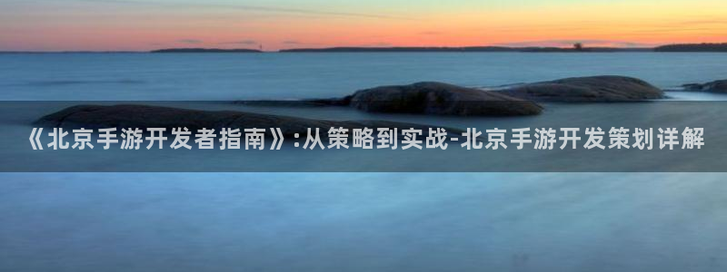 巅峰国际登录：《北京手游开发者指南》:从策略到实战-北京手游