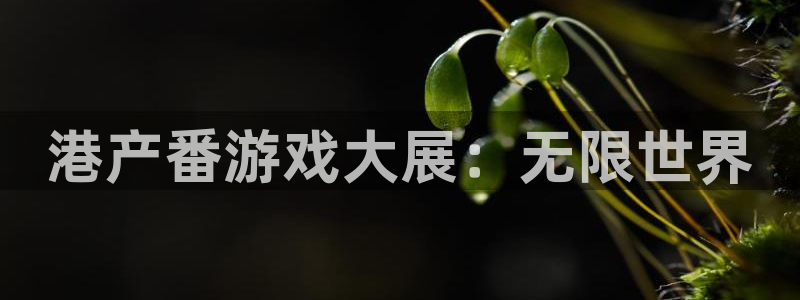 巅峰国际平台：港产番游戏大展：无限世界