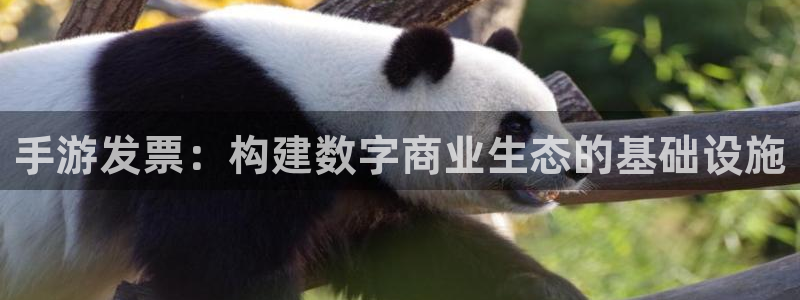 巅峰国际平台：手游发票：构建数字商业生态的基础设施