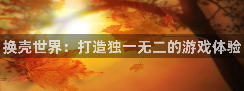 巅峰国际注册：换壳世界：打造独一无二的游戏体验