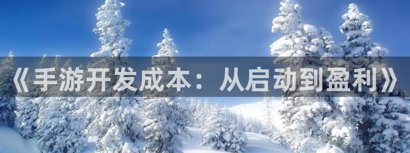 巅峰国际平台：《手游开发成本：从启动到盈利》