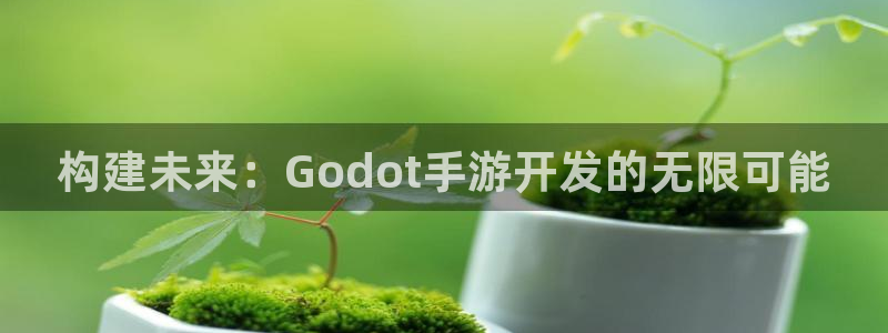 巅峰国际首页：构建未来：Godot手游开发的无限可能