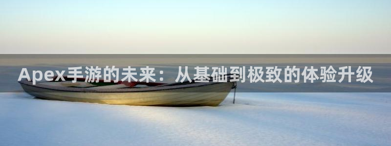 巅峰国际首页：Apex手游的未来：从基础到极致的体验升级