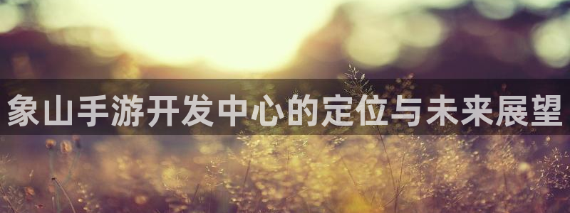 巅峰国际登陆：象山手游开发中心的定位与未来展望