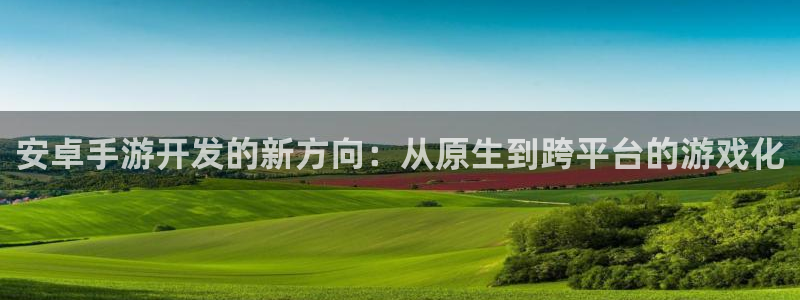 巅峰国际登陆：安卓手游开发的新方向：从原生到跨平台的游戏化