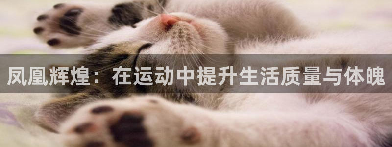 必一运动官网入口