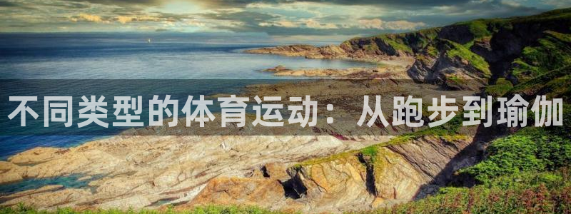 必一运动体育官网