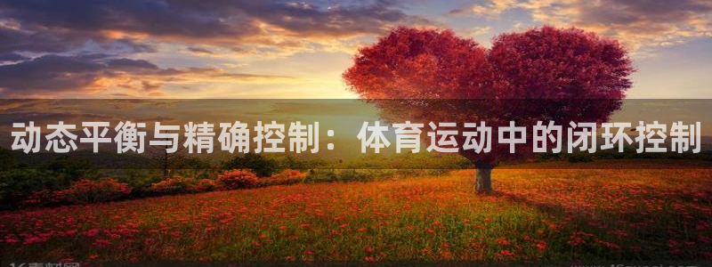 bsports必一运动