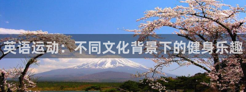 必一运动bsport体育