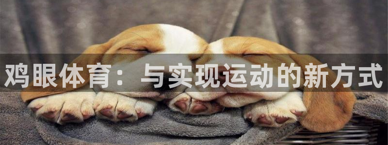 必一运动体育官网