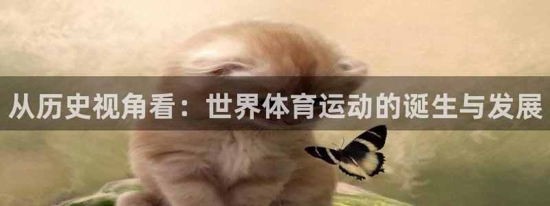 必一运动bsport体育