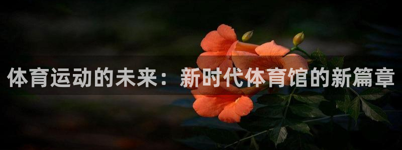 必一运动