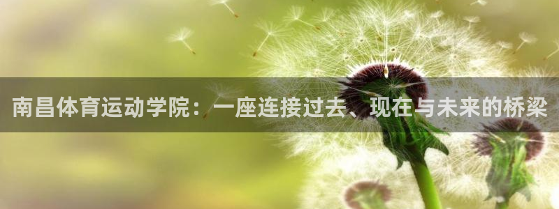 bsport必一运动