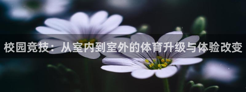 必一运动