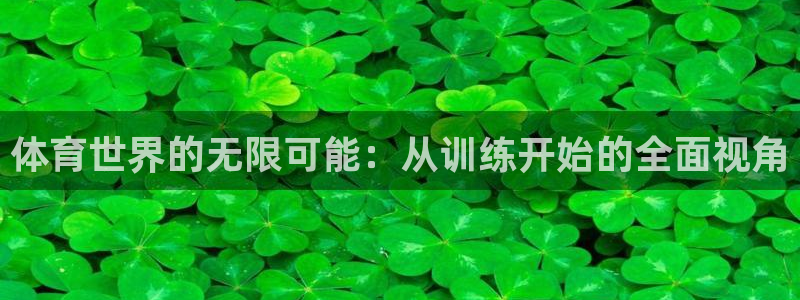 必一运动体育官网