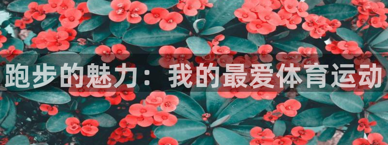 必一运动官网