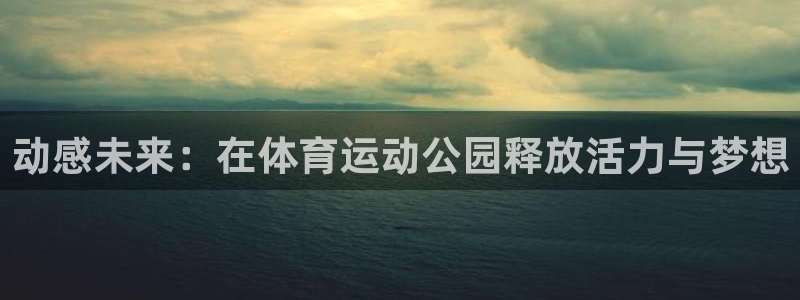 b体育必一运动官网