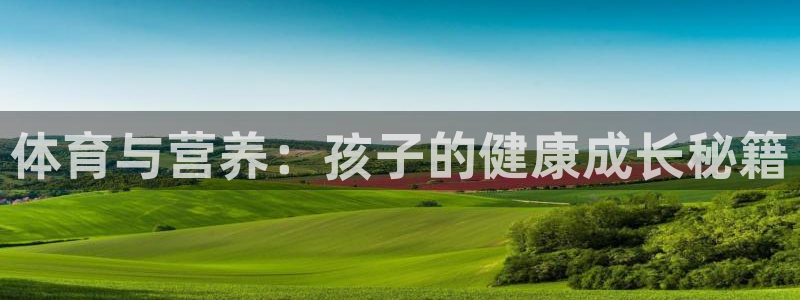 b体育必一运动官网