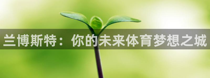 b体育必一运动官网